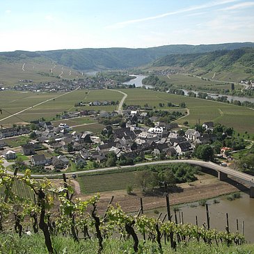 Thörnich