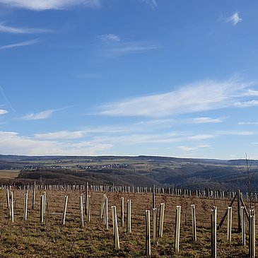 Blick in den Hunsrück