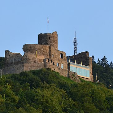 Burg Landshut