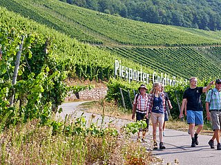 Wandergruppe Piesport
