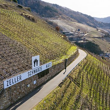 Blick auf die Weinberge bei Zell