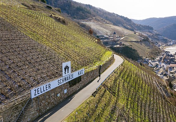 Blick auf die Weinberge bei Zell