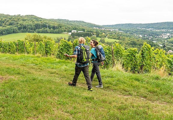 Wandern auf dem Moselsteig bei Perl