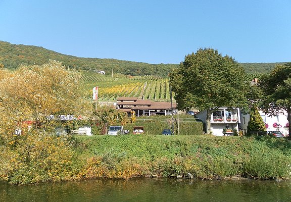 Kelteranlage in Piesport