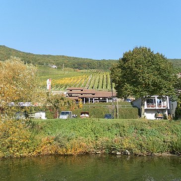 Kelteranlage in Piesport