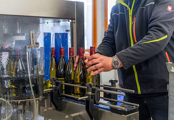 Arbeit im Weinkeller