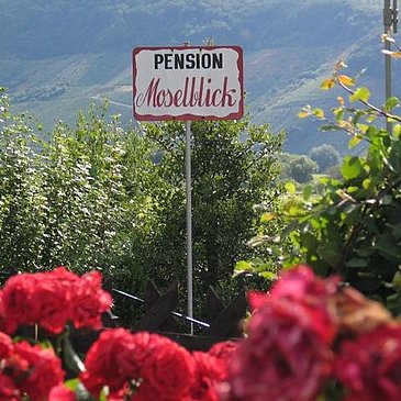 Panoramablick