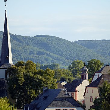 Mülheim an der Mosel