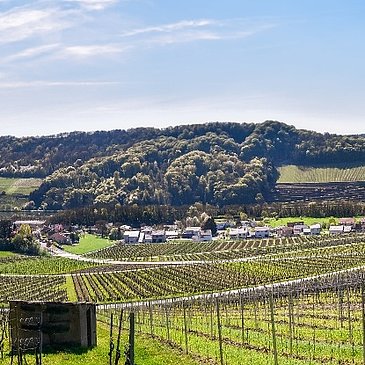 Einstieg Moselsteig Dreiländerblick: Blick Richtung Schengen (Luxemburg, links) und Apach (Frankreich, rechts)