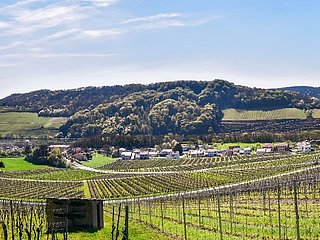 Einstieg Moselsteig Dreiländerblick: Blick Richtung Schengen (Luxemburg, links) und Apach (Frankreich, rechts)