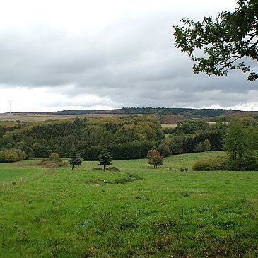 Felderlandschaft im Hunsrück bei Kommen