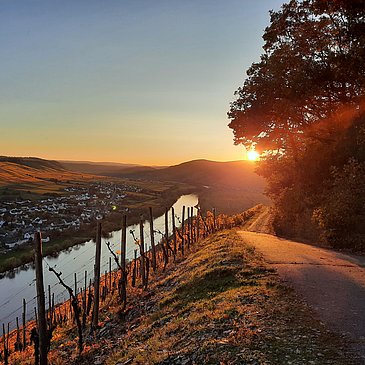 Herbststimmung