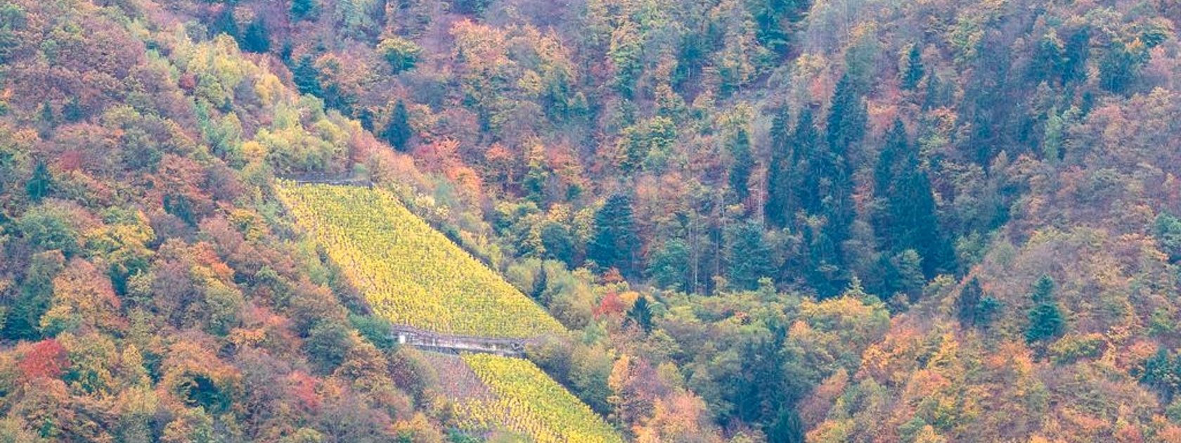 Herbstliches Ambiente im Moselurlaub