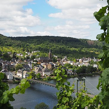 Der Ort Wehlen