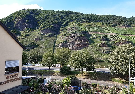 Wein- und Gästehaus Kaufmann-Schneider Ausblick