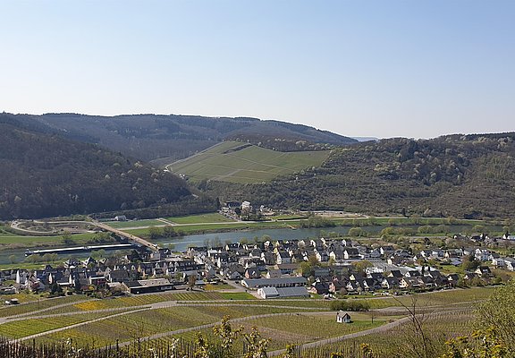 Zeltingen-Rachtig
