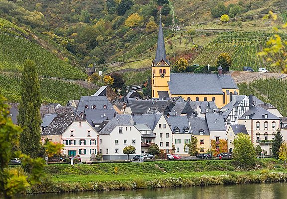 Ortsansicht Zeltingen