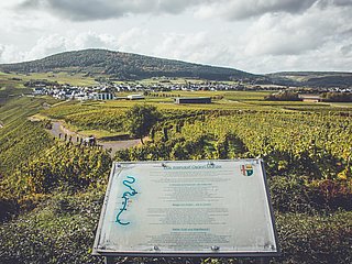 Weinberge in Osann-Monzel