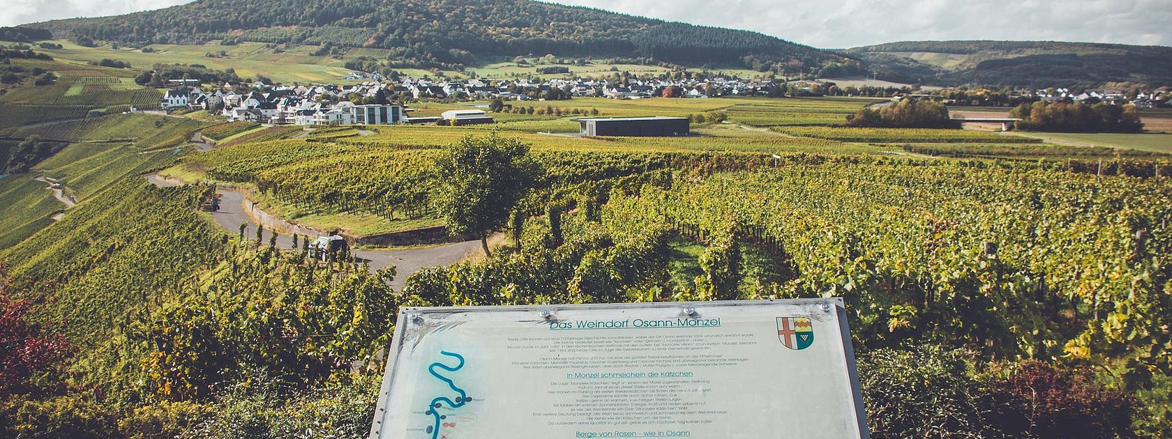 Weinberge in Osann-Monzel
