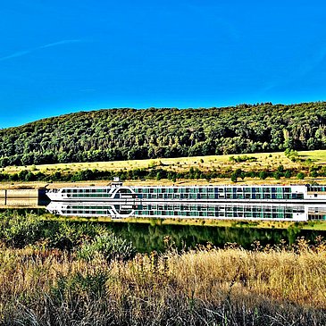 Die Mosel bei Zeltingen-Rachtig
