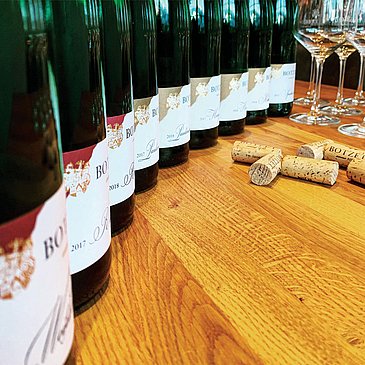 Weinprobe