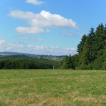 Hunsrück-Weitblick am "Bernkasteler Bärensteig"