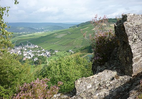 Felsen mit Blick auf Veldenz