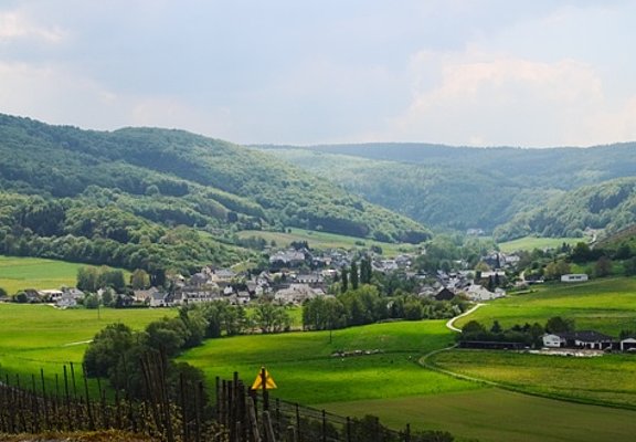 Burgen an der Mittelmosel