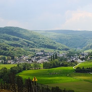 Burgen an der Mittelmosel