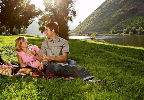 Picknick an der Mosel, Ferienland Cochem(0)