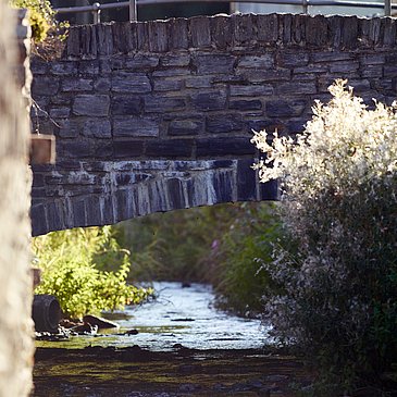 Blick auf die Frohnbachbrücke in Burgen