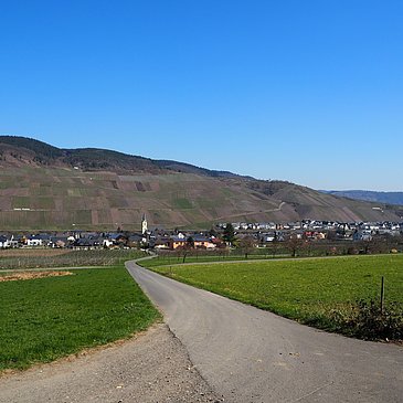 Ausblick auf Lösnich