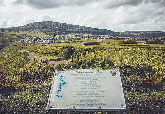 Ausblick auf den Monzeler Hüttenkopf