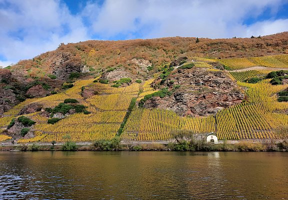 Weinlagen im Herbst