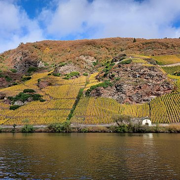 Weinlagen im Herbst