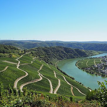 Ausblick Panoramastaße bei Piesport