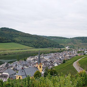 Zeltingen-Rachtig