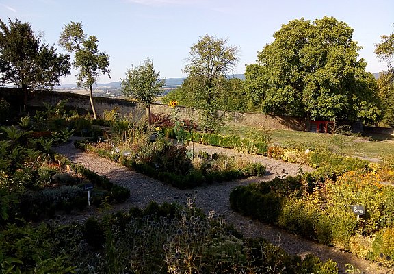 Kräuter im Abtsgarten  von Klausen