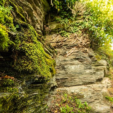 Felsen am Collis-Steilpfad