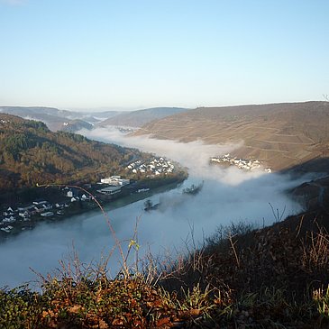 Blick vom Collisturm in Richtung Bullay und Marienburg