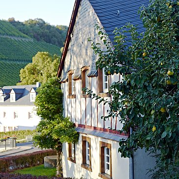 Fachwerkhaus in Burgen