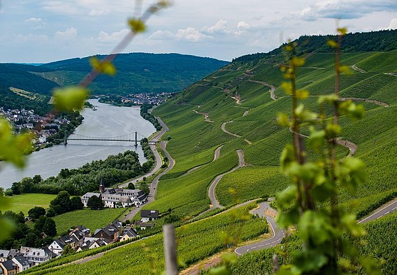 Der Josephshof in Graach