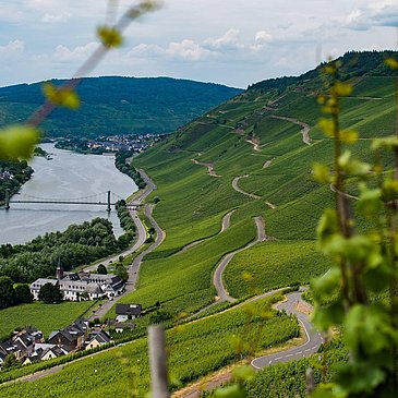 Der Josephshof in Graach