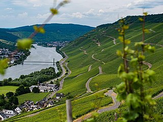Der Josephshof in Graach