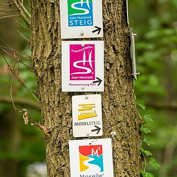 Wegeschilderschilder Moselsteig, Panoramaweg Perl, Moselle Trail und Saar-Hunsrück Steig