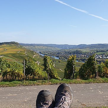 Aussicht von der Ruheinsel