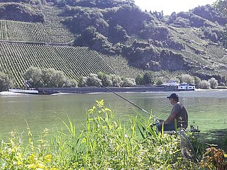 Angler