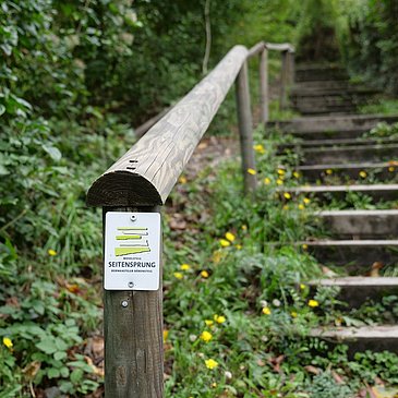 Unterwegs auf dem Moselsteig Seitensprung