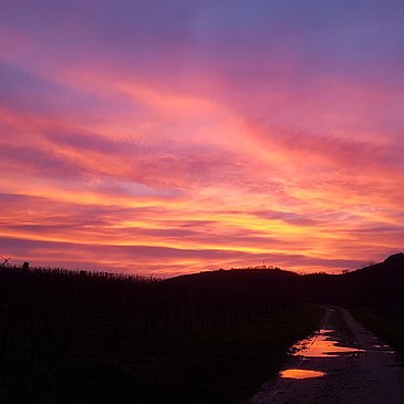 Ein Abendspaziergang gefällig?