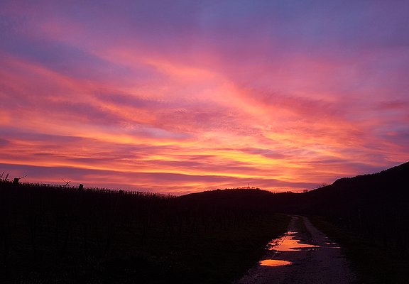 Ein Abendspaziergang gefällig?